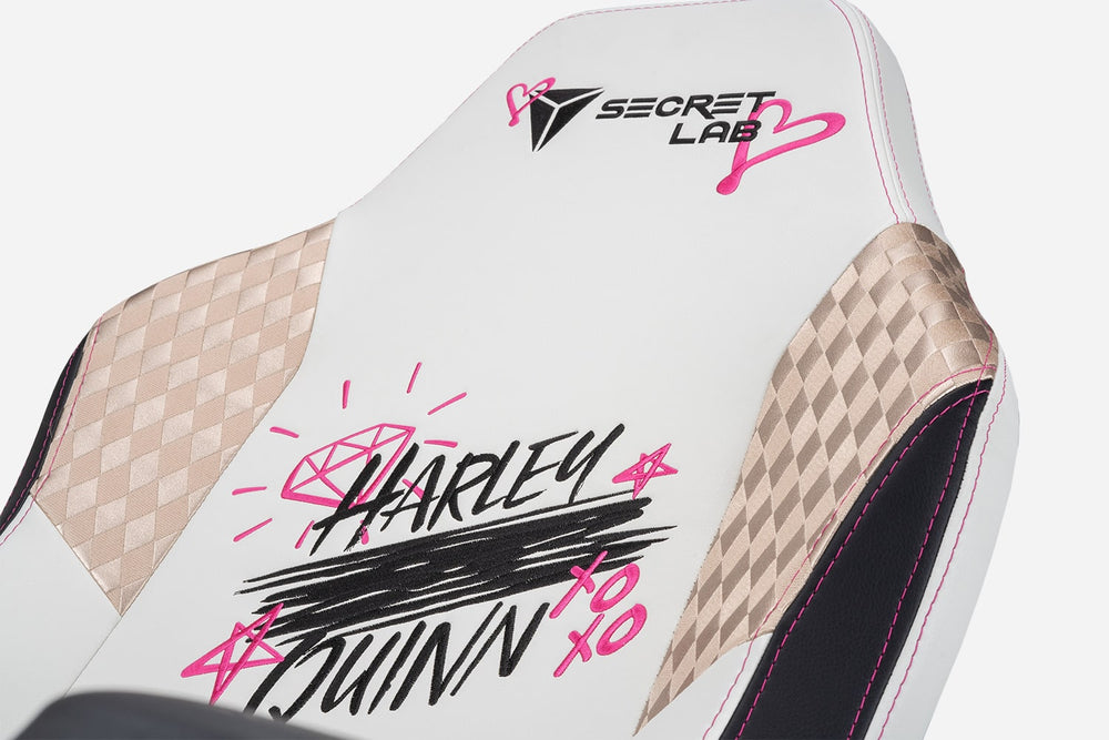 Front view of Secretlab Birds of Prey edition gaming chair